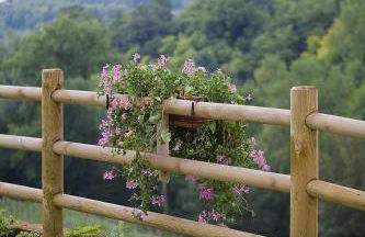 Agriturismo Althea - Foto 20