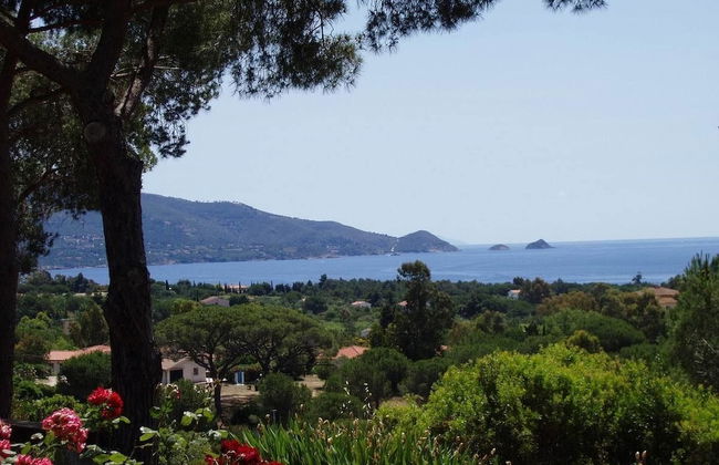 Appartamenti Elbamar Lacona - Foto 45