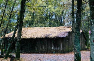 Douro - A Casinha da Ana - Photo 32