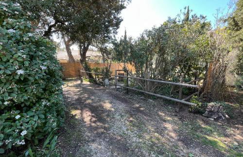 Mazet en Provence - Foto 3