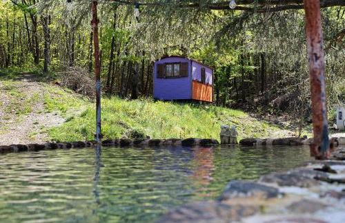 Borgo Tassani - Foto 5