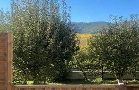 Studio aux pieds des vignes - Foto 20