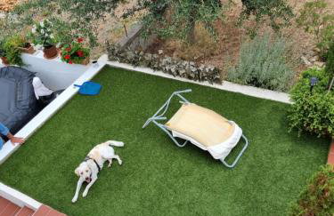 Apartmani Axa - Photo 27