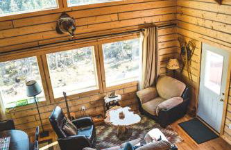 Denali Wild Stay - Bear Cabin with Hot Tub and Free Wifi, Private, sleep 6 - Foto 6