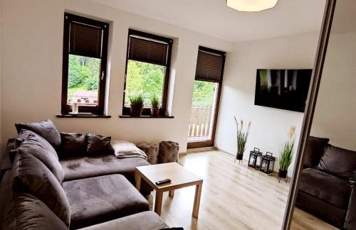 Apartament Szumi Las Kletno - Foto 6