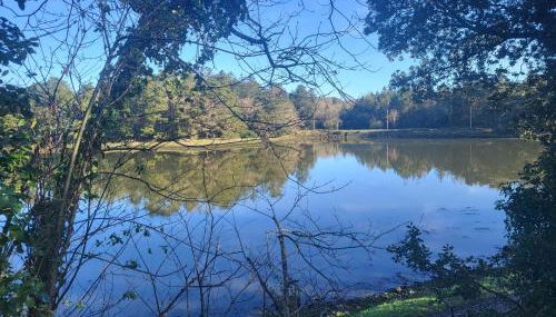 Charmant appartement avec jardin - Foto 2