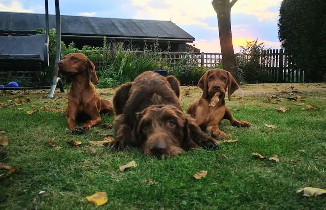 Rustic Log Cabin - Dog Friendly - Sleeps 2 - Views - Foto 22