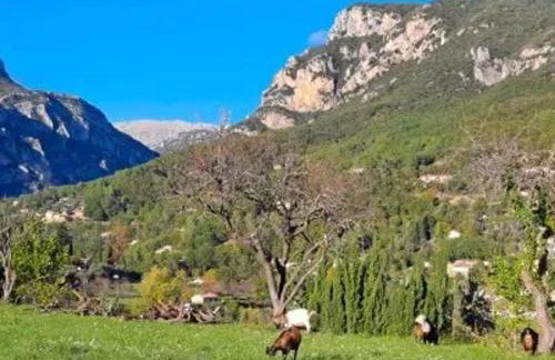 Maison conviviale avec jacuzzi à Le Bar-sur-Loup - Foto 67