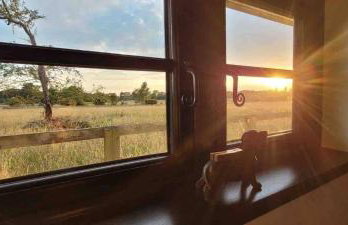 The Acorn - Roudham Norwich - Foto 8