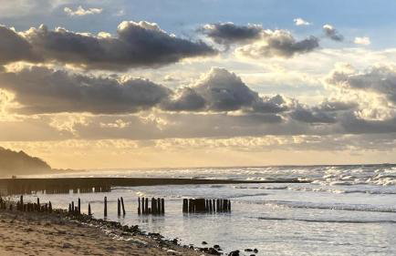 Cottage in Normandy - Foto 13