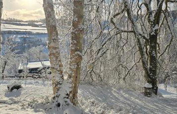 Auszeyt Edersee für Zwei - Foto 37