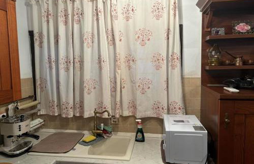 Οξυγόνο Πέτρινο εξοχικό στη Βυζίτσα Πηλίου - Foto 10