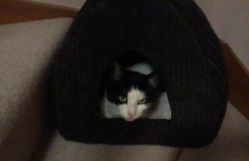 Hopewell self-catering - Foto 57