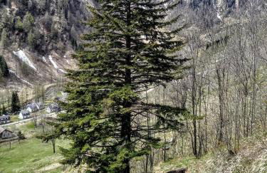 Casa Rimasco - Foto 57