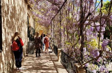 Apartamento Jardin de Santa Paula - Foto 36