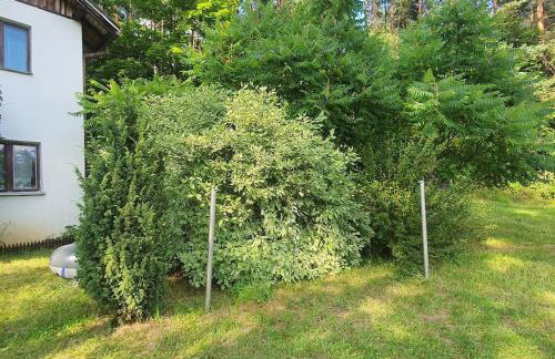 Cały dom Bezpośrednio nad jeziorem - Foto 9