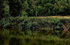 Festina Lente - Guest House - Foto 27