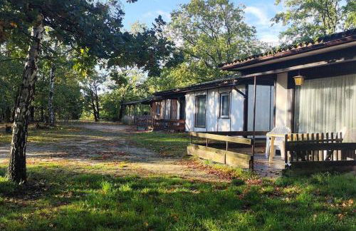 Kleine Freiheit Nummer 2 - Foto 7