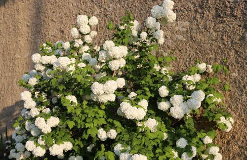 GITE MONTGOLFIÈRE 6 PERSONNES - Foto 2