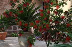 Piero's Apartment - Foto 31