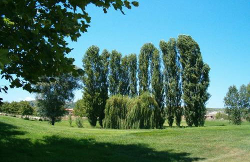 Villa sul mare - Foto 54