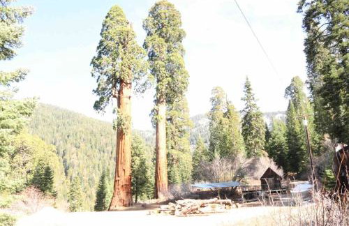 BunkHouse 1960's Camp Vibe with Timeless Wet Bar - Foto 13