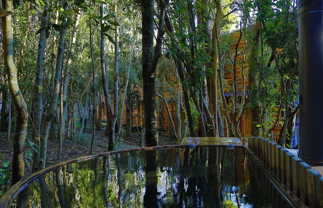 Cabañas Ensenada Bosque Nativo - Foto 36