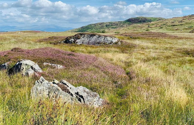 Stunning 2-bed Apartment in Newton Stewart - Photo 12
