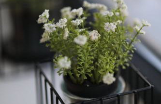 Skiti Villas Green Holidays - Foto 9