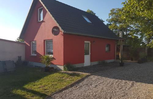 Ferienhaus am Rande des Müritz-Nationalparks - Foto 9