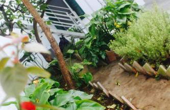 La Pergola di Amalia - Foto 16