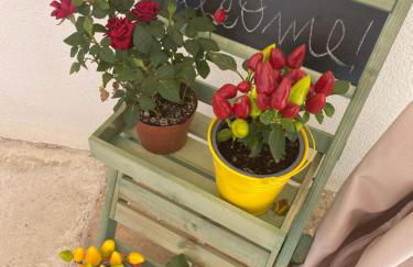 Casa Blu da Mariano - Foto 21