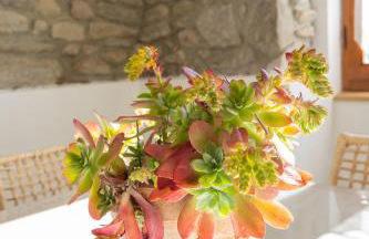 La Cascina dei Ciliegi - Foto 6