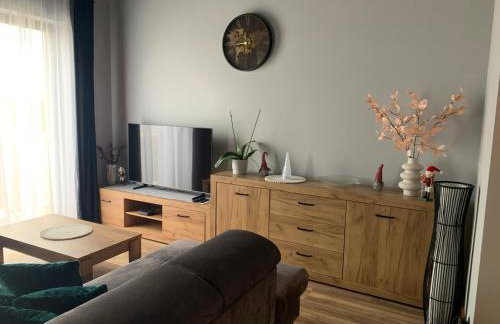 Bulwar Apartament Stare Miasto - Foto 9