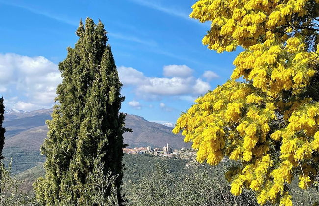 Panoramic Townhouse Casa del Borgo - Photo 23