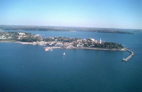 App Sorgo - Photo 49