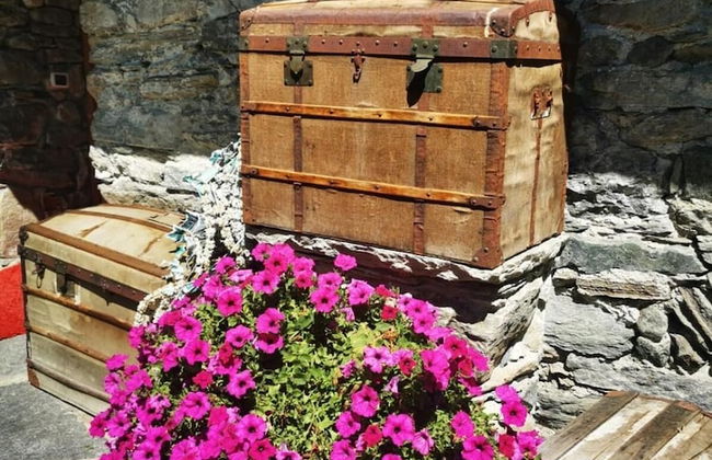 Maison Le Cler - Foto 22