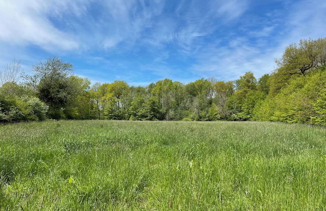 la maison dans les bois - Foto 10