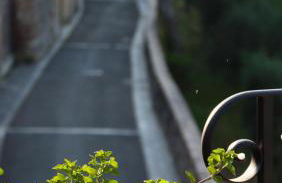 Casa Anna "a lovely home in Tuscany" - Foto 53