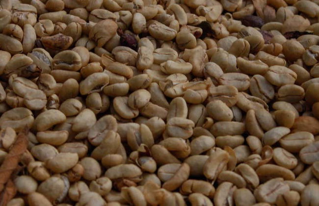 Tour del caffè a Villa Rica - Foto 1