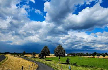 Hasenbau Wesel-Flüren - Foto 20