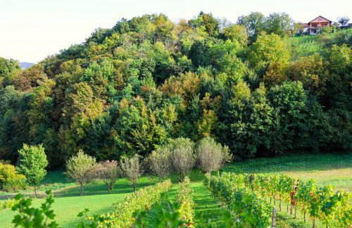 Ruralna kuća za odmor Brezanka, Zagrebačka ulica 21 Gornja Stubica - Foto 23