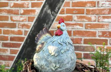 Mecklenbü mit Teich, Kamin, Sauna und Hotpott - Foto 13