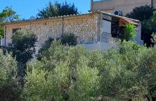 Apartments-Estate under the Paintbrush - Photo 9