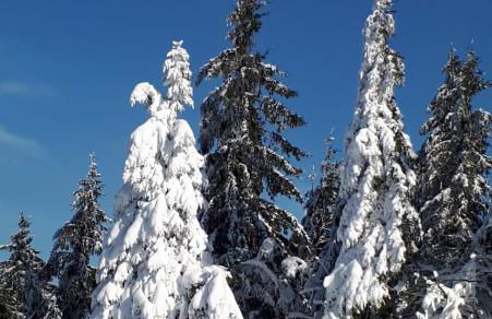 Sissi's Feriendomizil - Foto 10