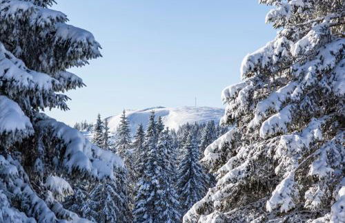 Villa Number 8 - Photo 26