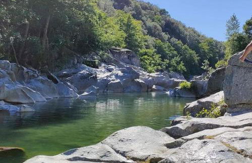 Gîte des 3 vallées - Le soleil des Cévennes - Foto 32