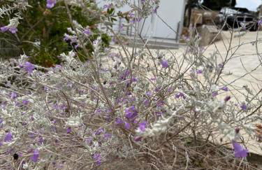 D & A Land luxury house - Photo 10