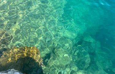 Villa Rocky Beach - Photo 50