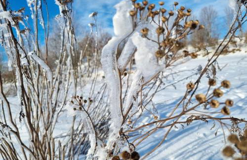 Ferienwohnung Kreuzberg - Foto 41